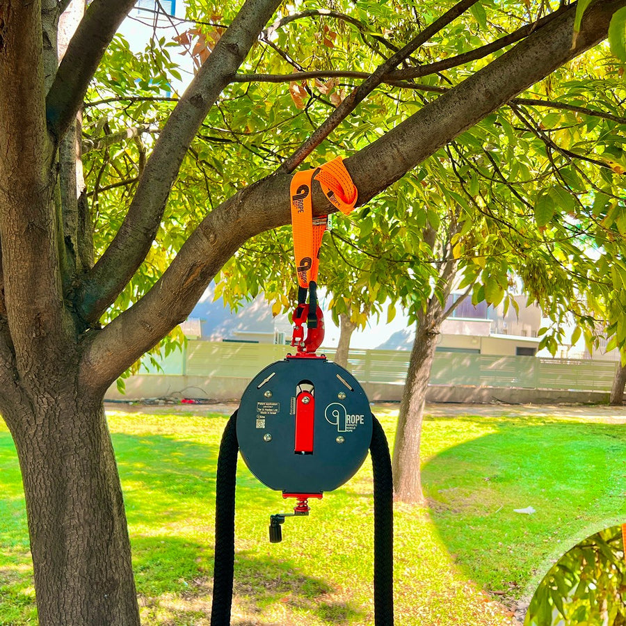 Tree branch